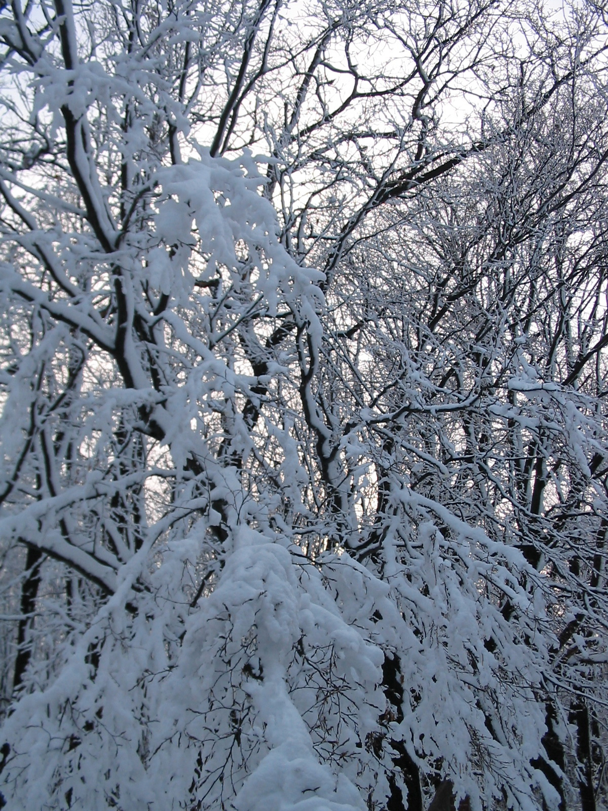 2011 12 17 túravezetők 024