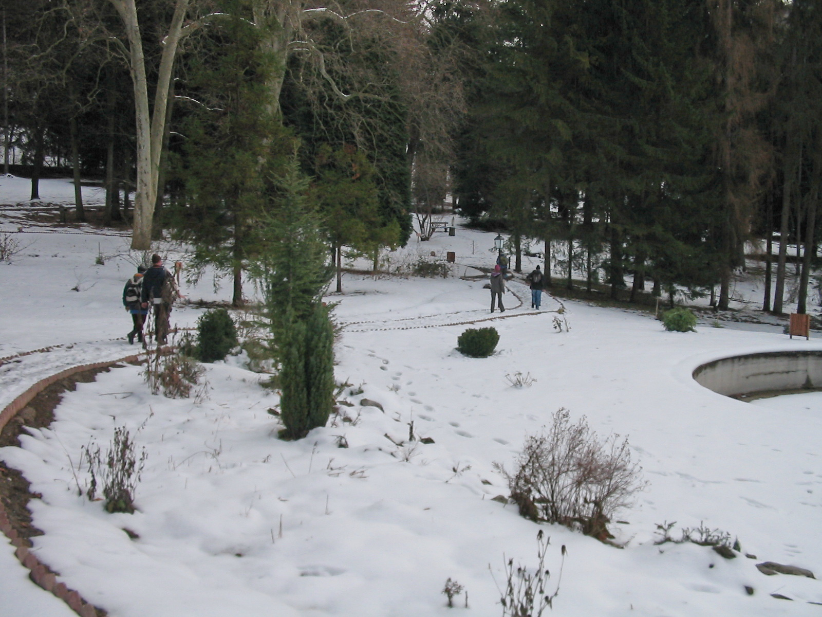 2011 12 30 Zengő túra 005