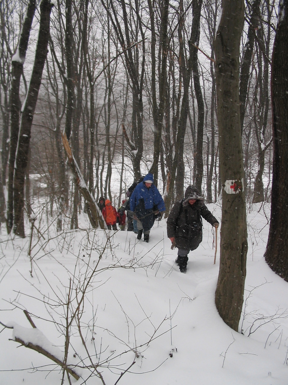 2012 02 04 Komló-Somogy 002