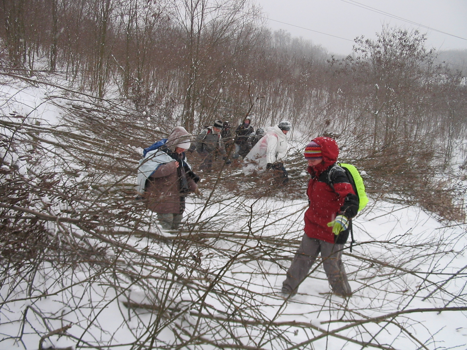 2012 02 04 Komló-Somogy 019