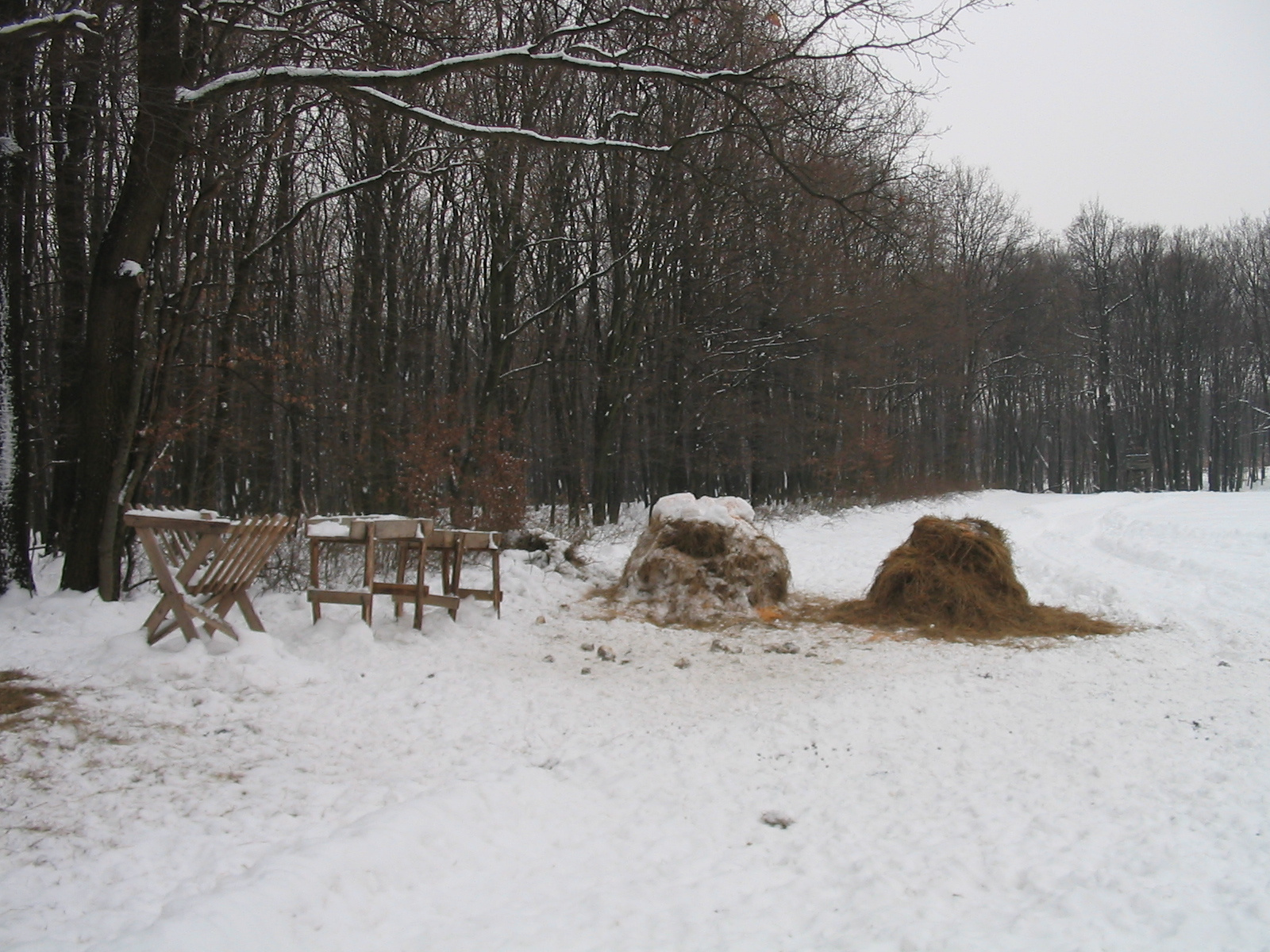 2012 02 12 nyílt túra bejárás 037