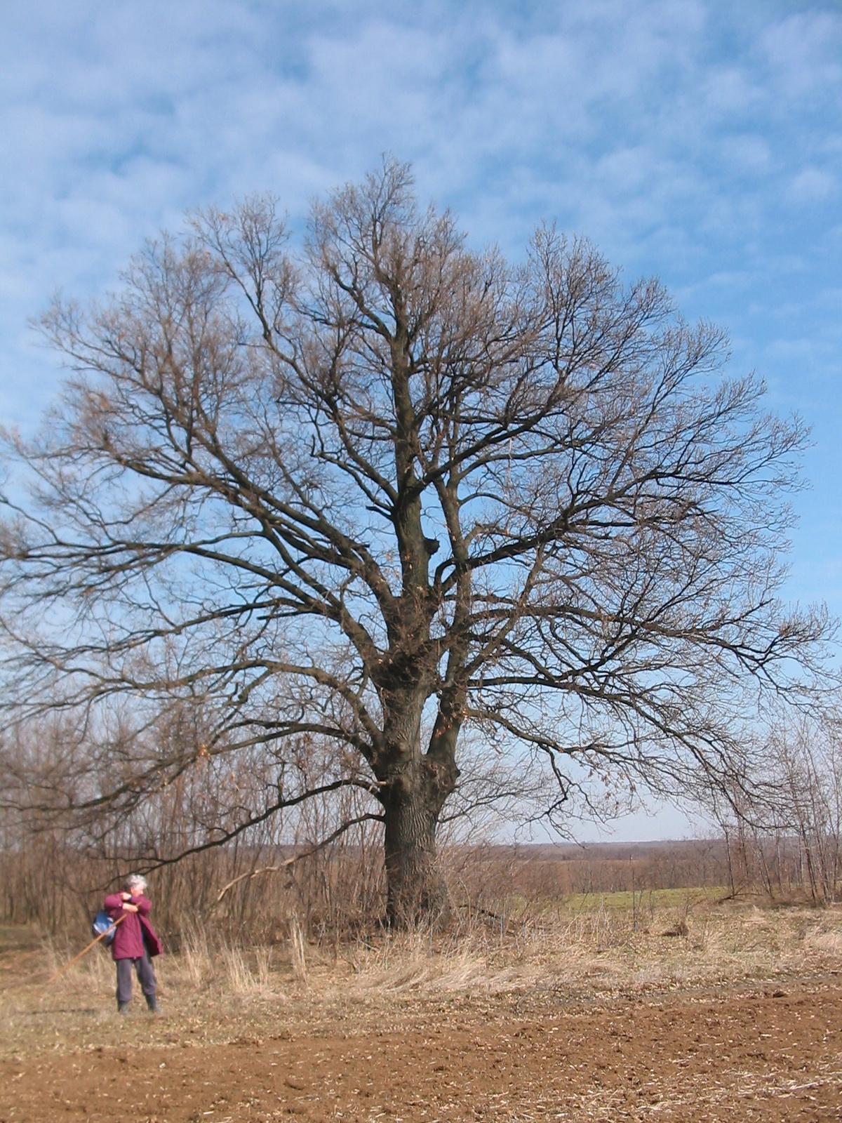 2012 03 01 véménd környék 058