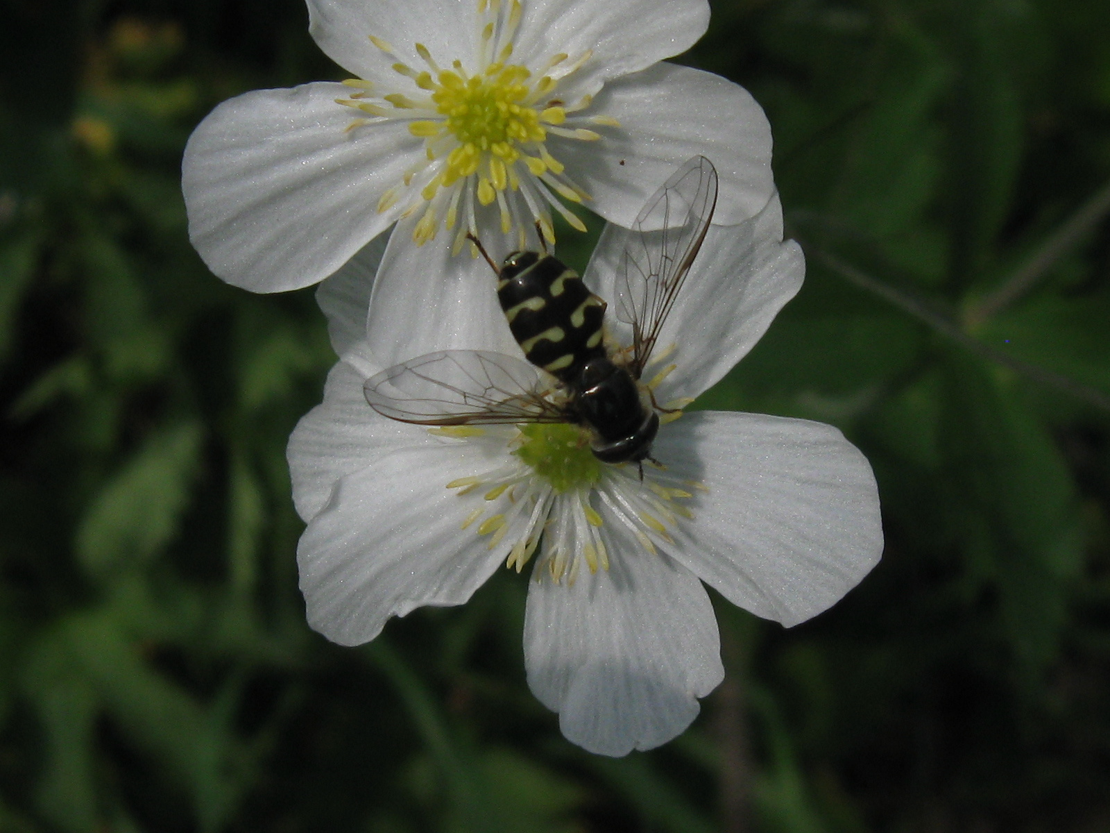 2012 07 02 Graz 2 nap 055