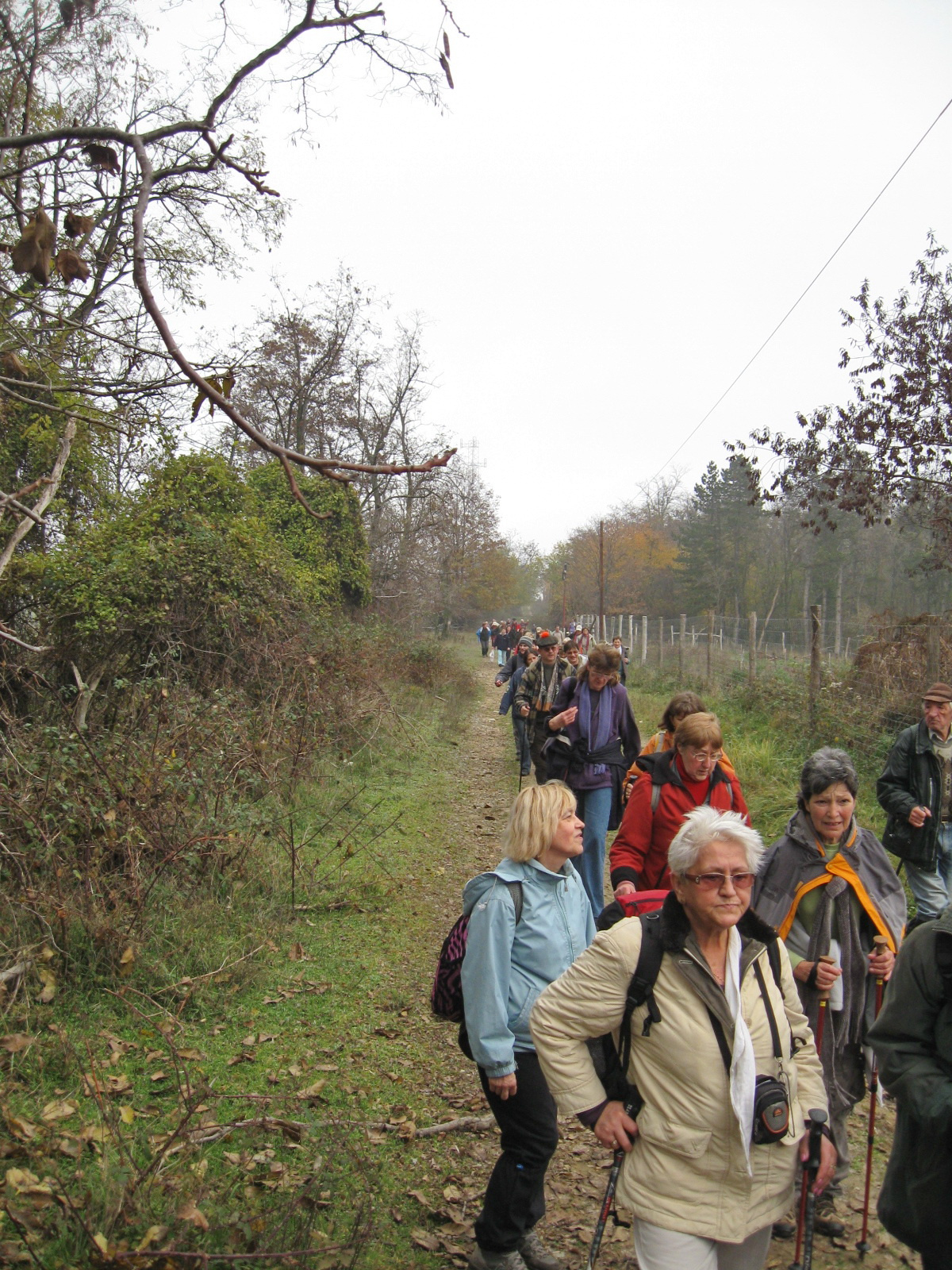 2012 11 24 Rockenbauer túra 027