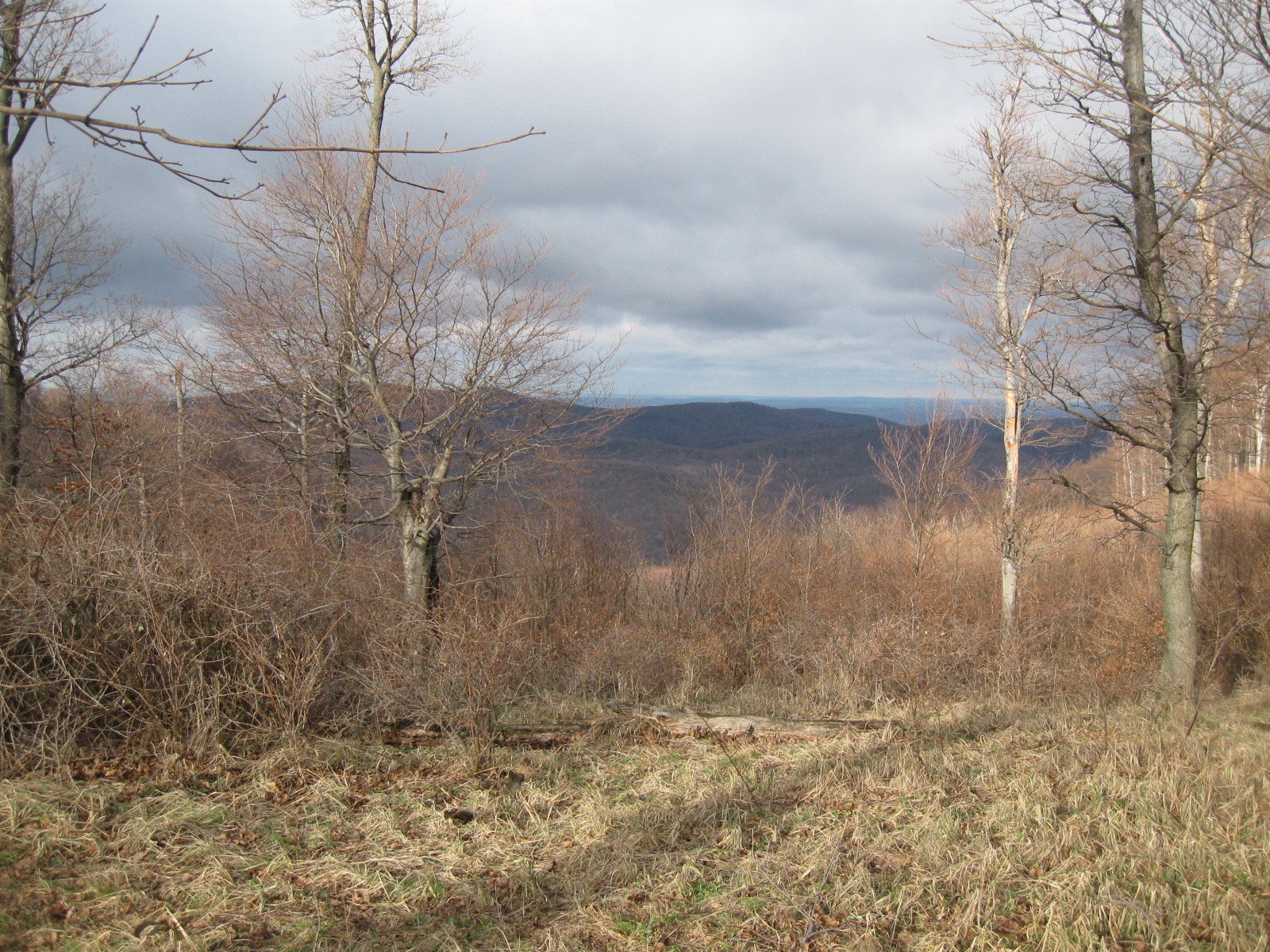 2013 01 05 óbánya-zengő 027