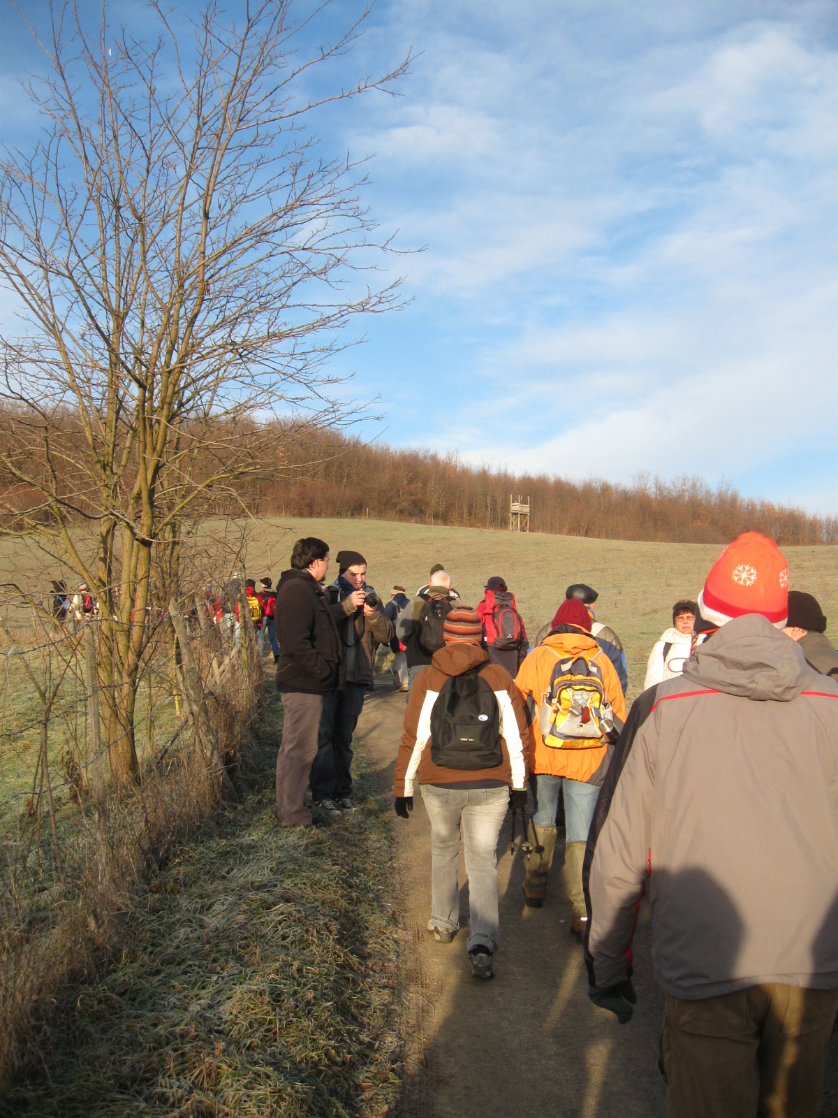 2013 01 12 Tekeres-Abaliget égervölgy 010