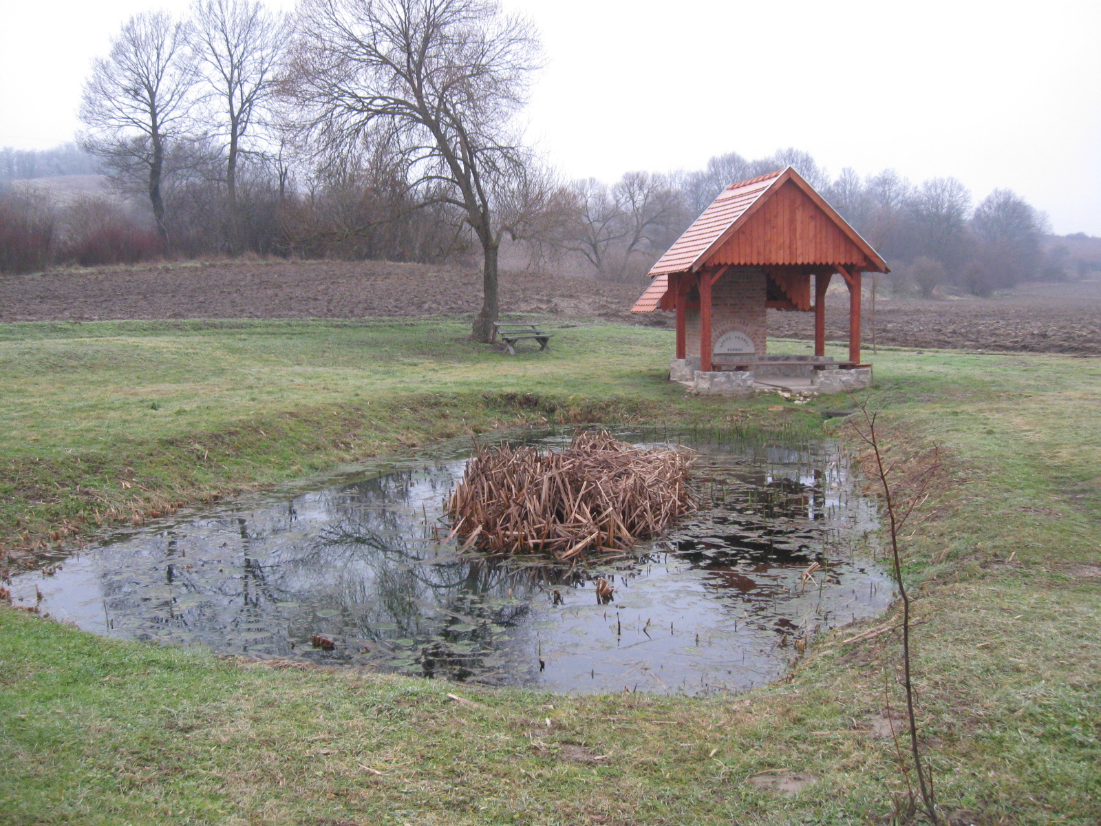 2013 01 24 Hetvehely-Kishajmás 004