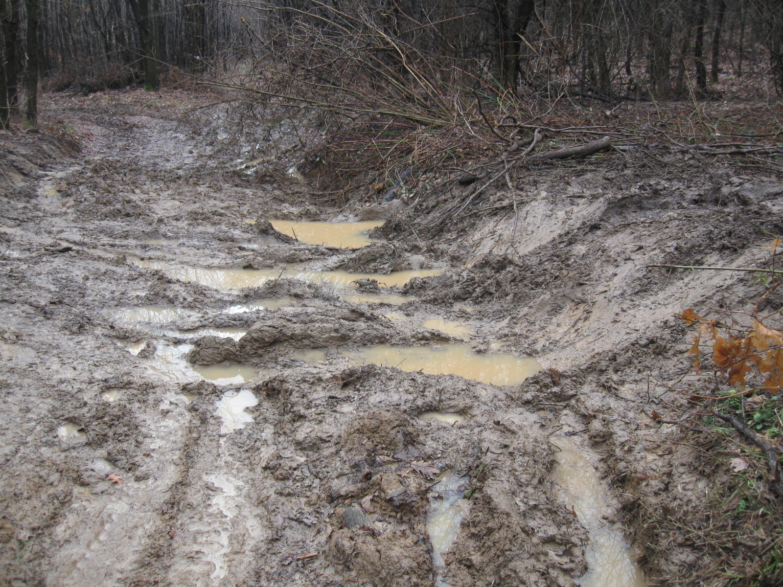 2013 02 02 Árpádtető-Somogy 006