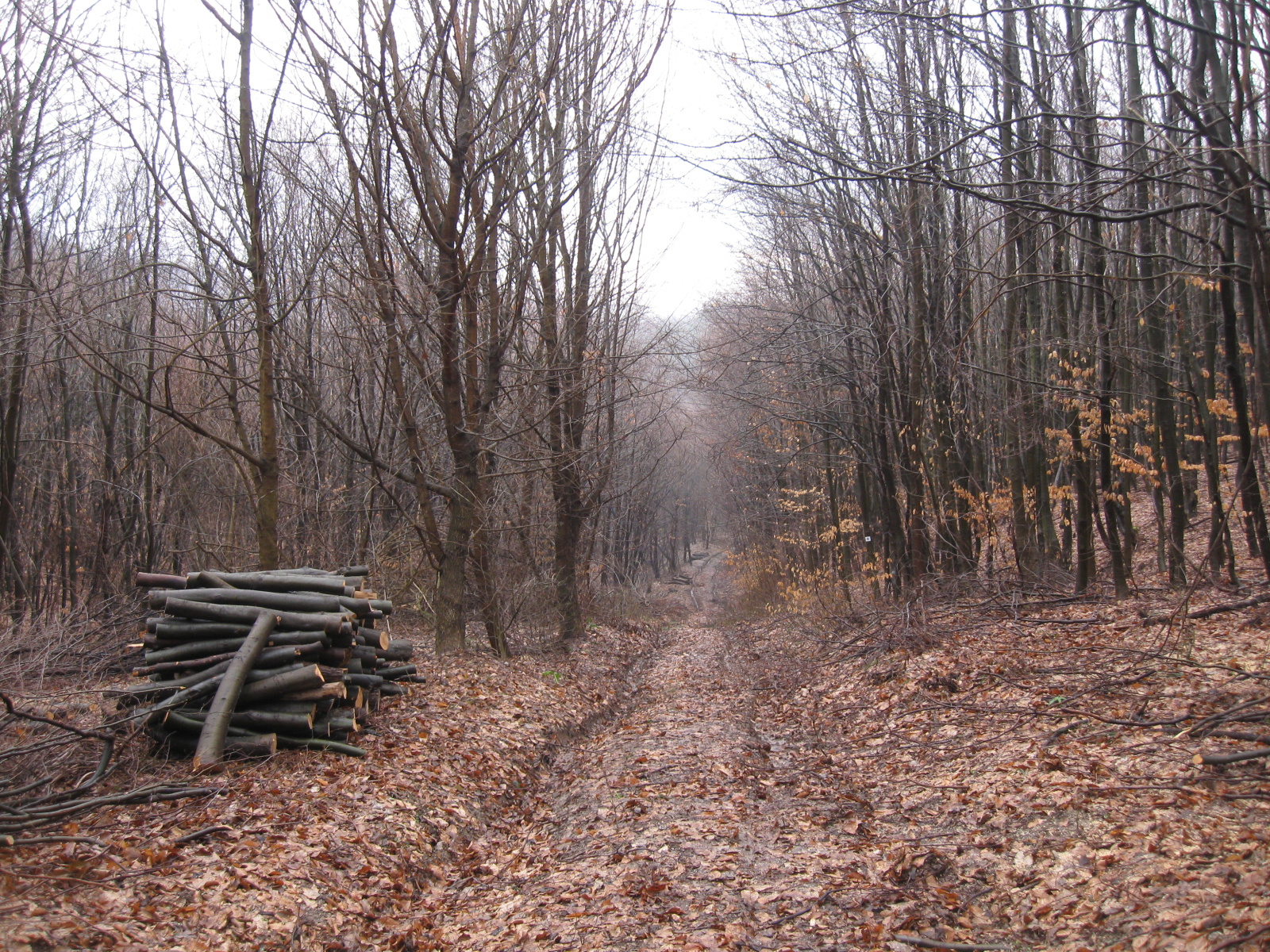 2013 02 02 Árpádtető-Somogy 007