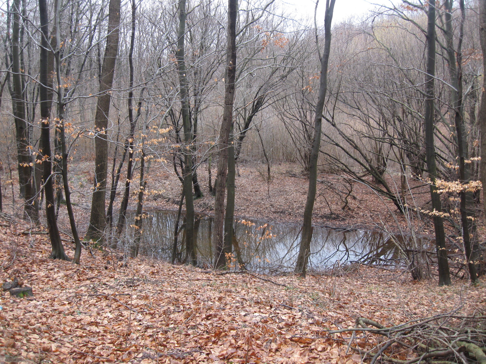 2013 02 02 Árpádtető-Somogy 017