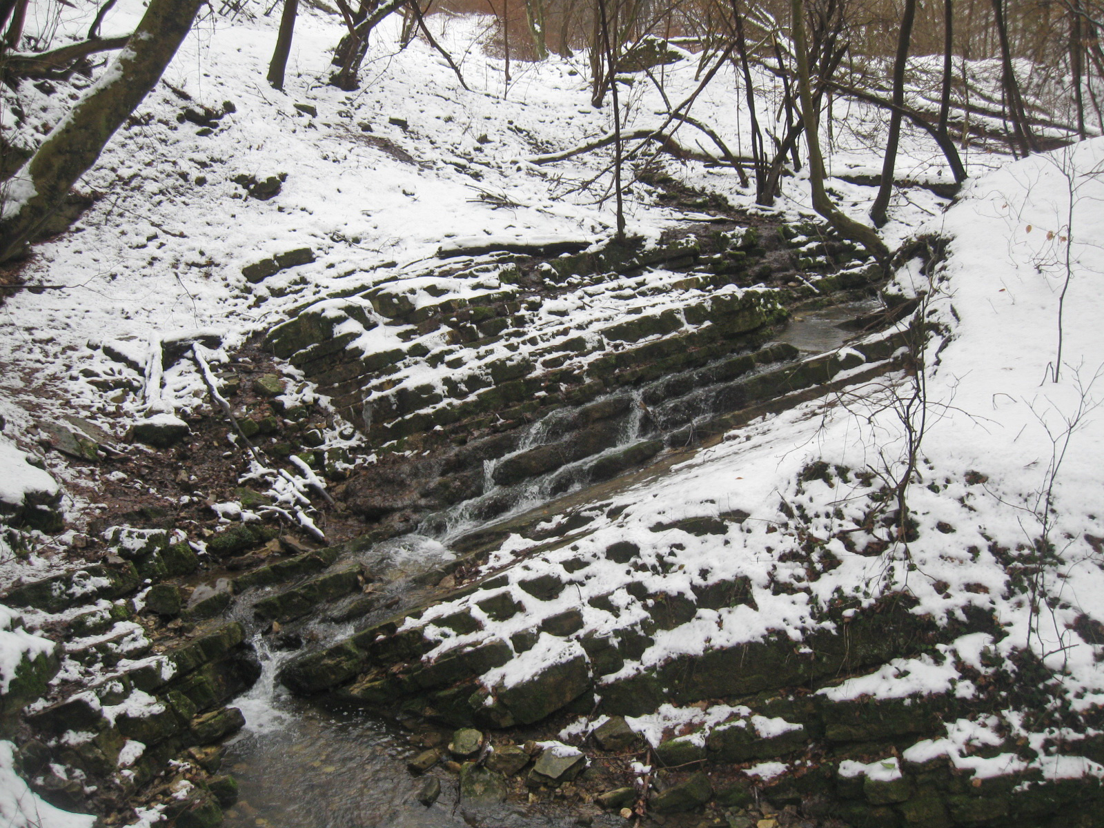 2013 02 23 mecseknádasd-Zobákpuszta 023