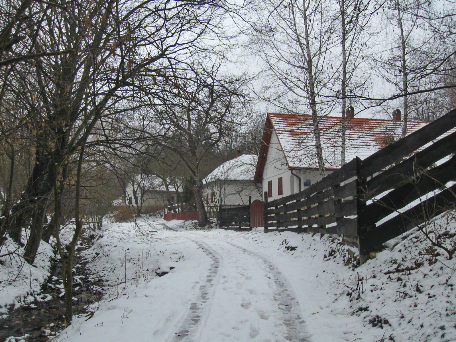 2013 02 23 mecseknádasd-Zobákpuszta 028