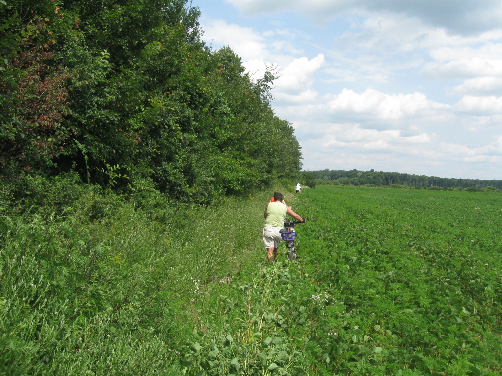 2013 07 13 Ormánság bicikli 063