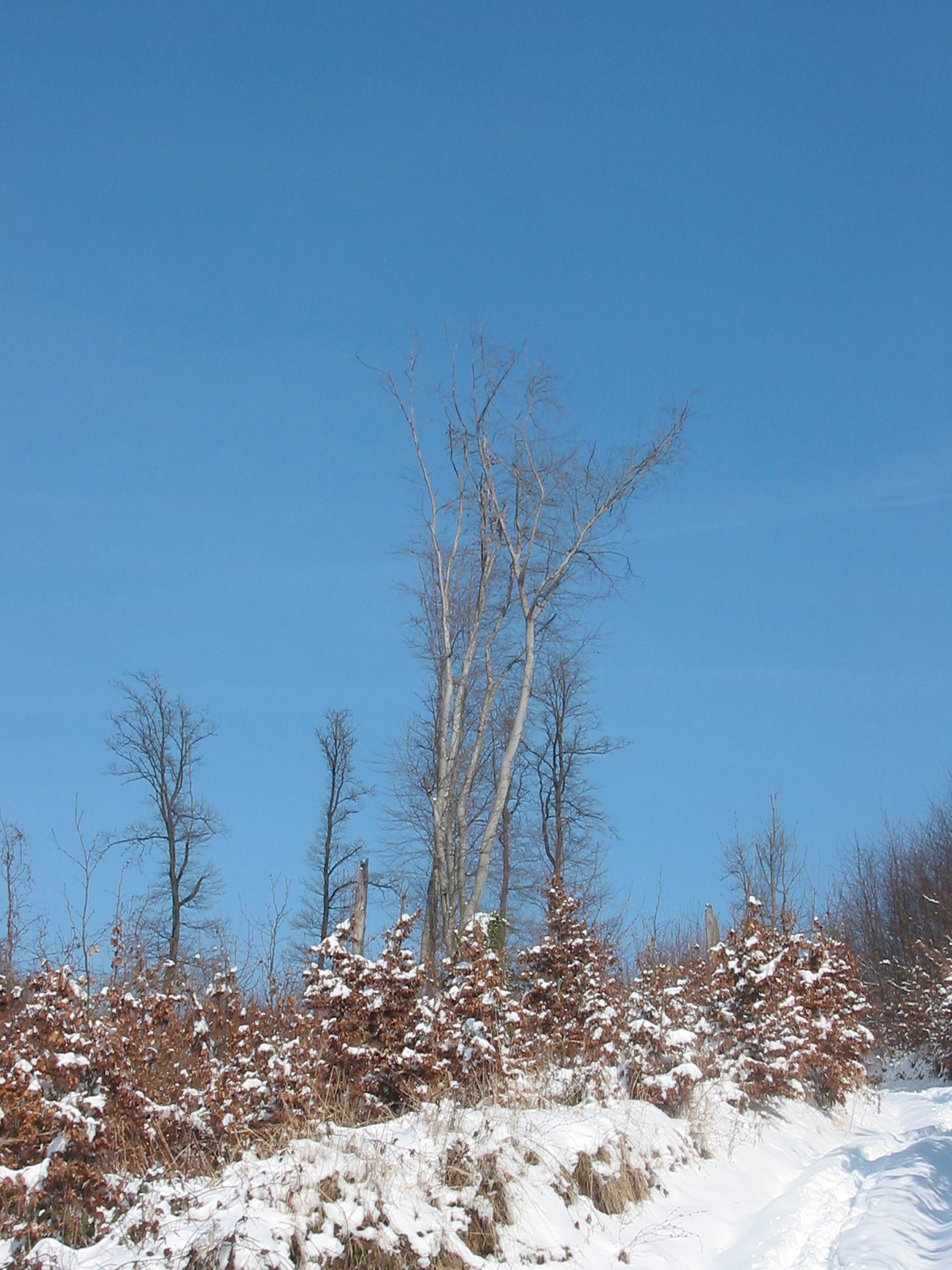 2010 02 09 Komló-Pécsbánya 053