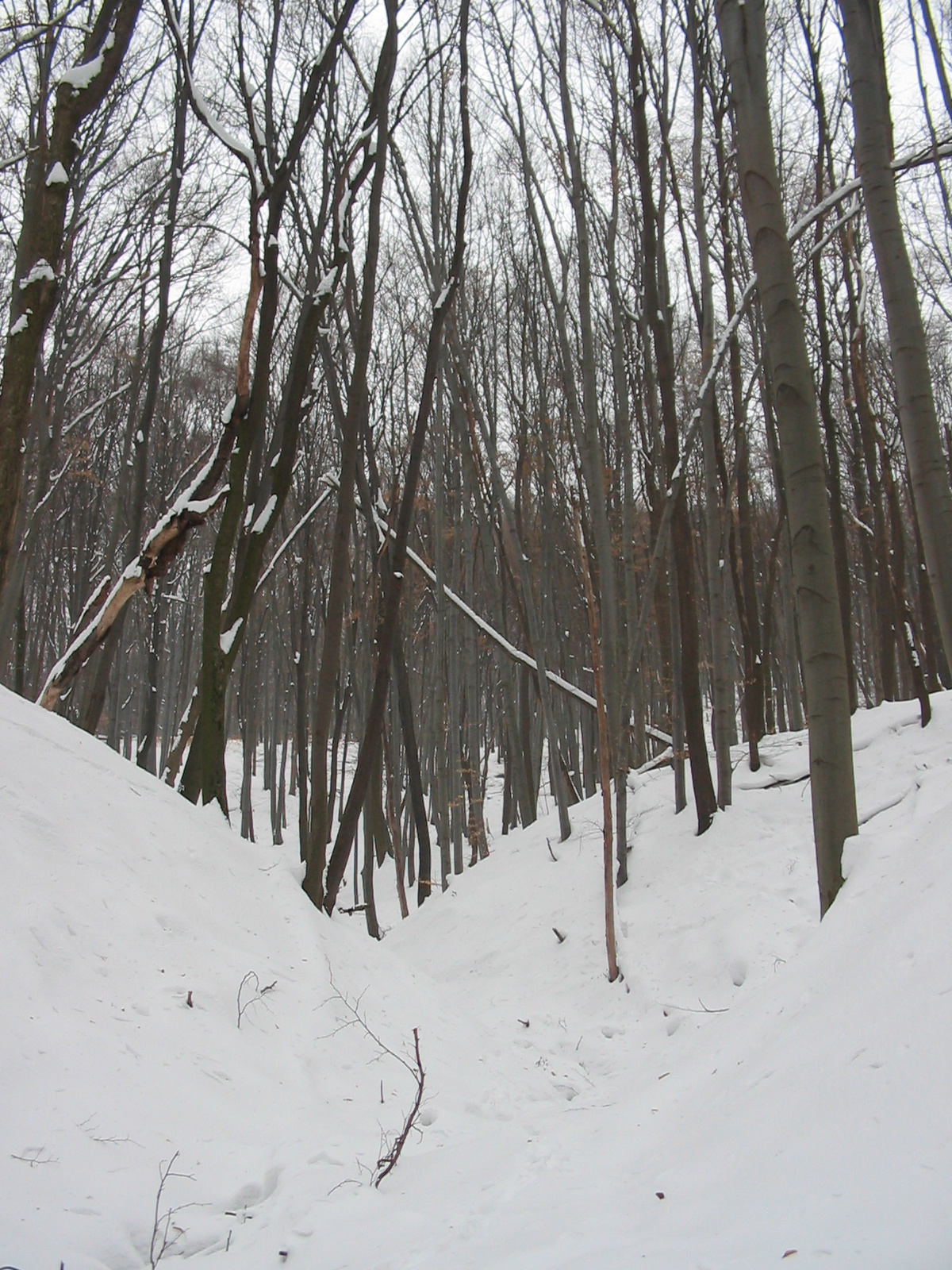 2010 02 15 Óbánya-Pécsvárad 059