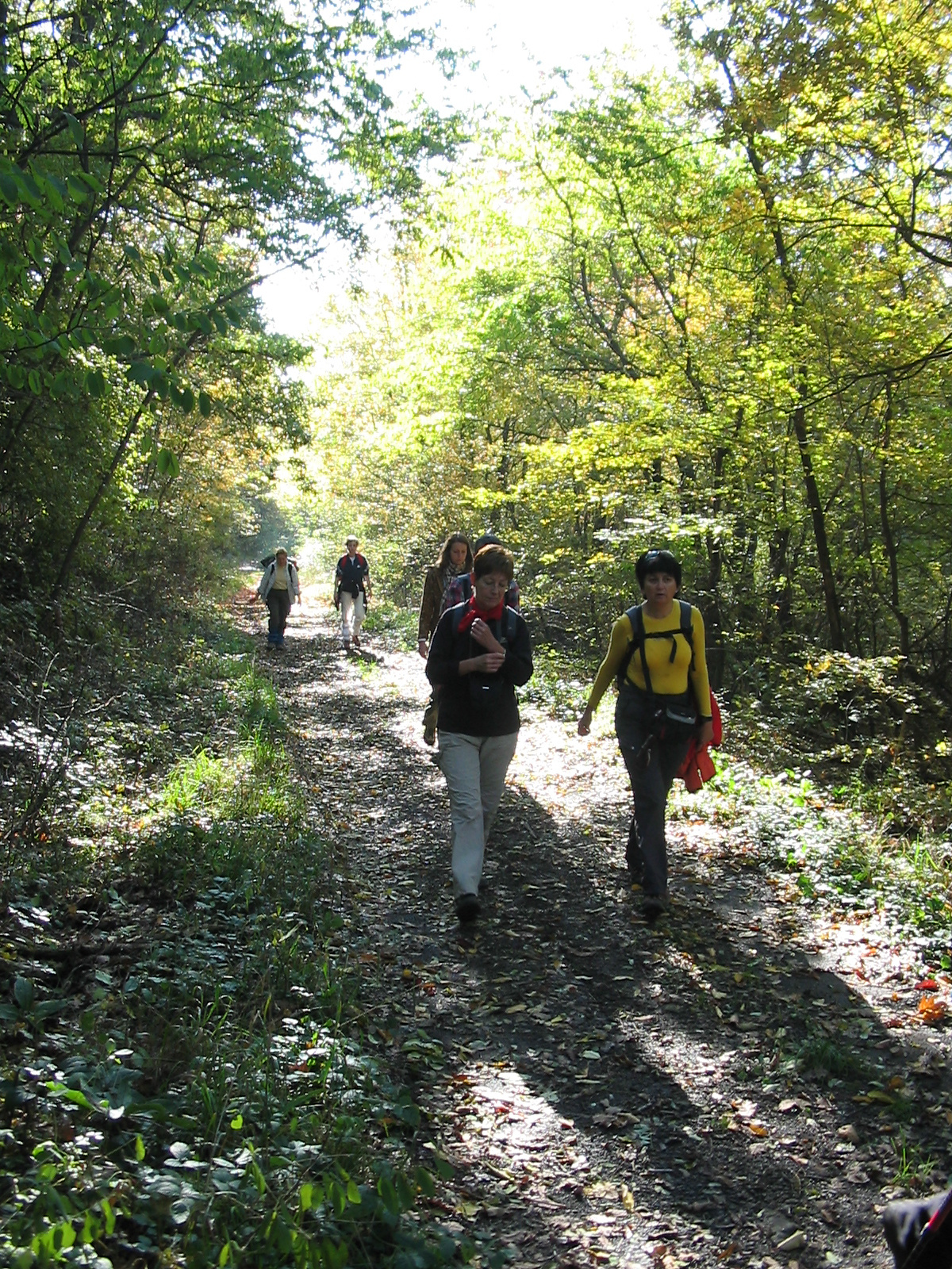 2010 10 23 Hosszúhetény -Szőlő 009