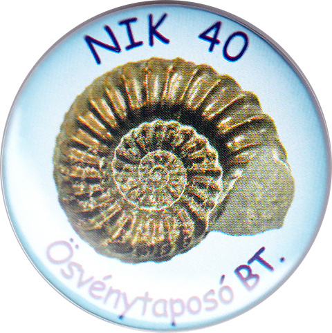 nik40 2012