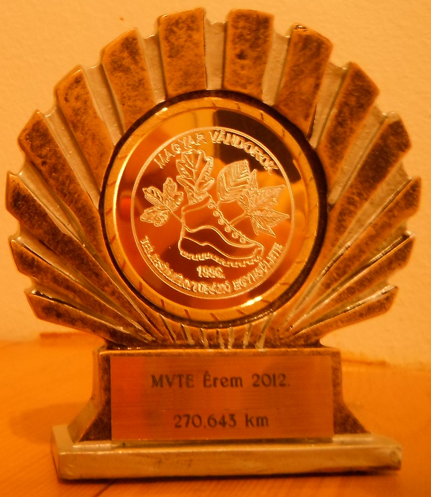 mvte érem extra 2012