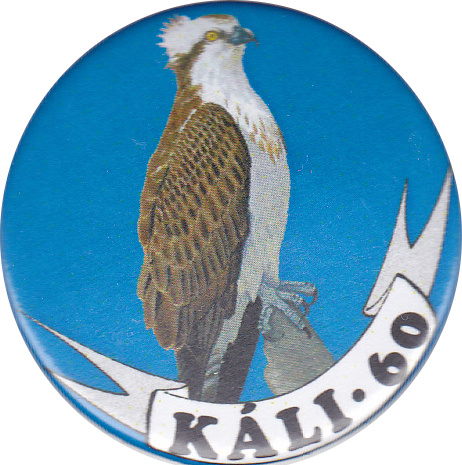 káli60 2013