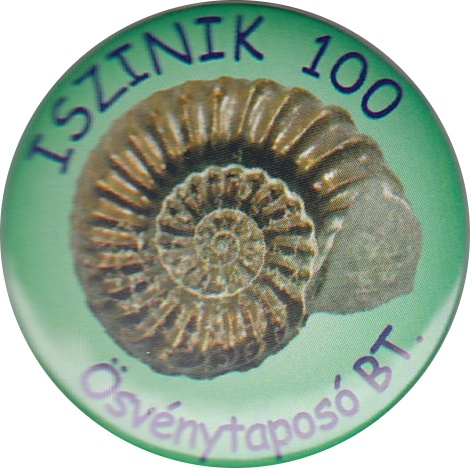 iszinik100 2013