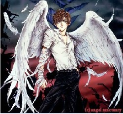 Angel-sanctuary-angel-anime-angel-picture