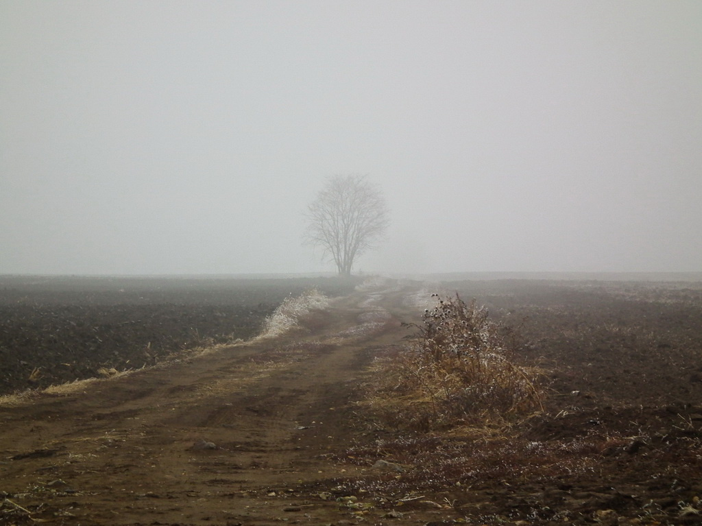 Egyedül a ködben