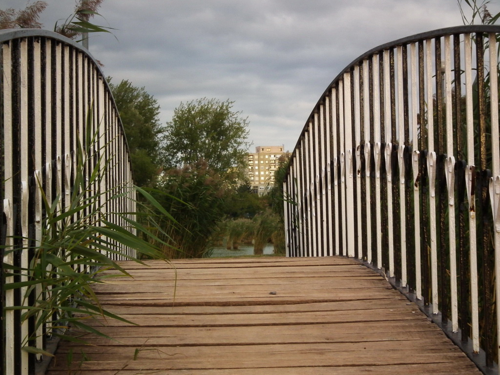 Híd a távolba