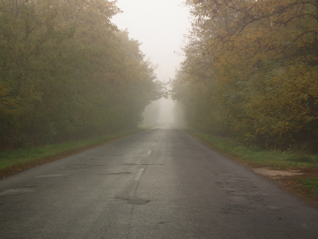Ködös őszi út