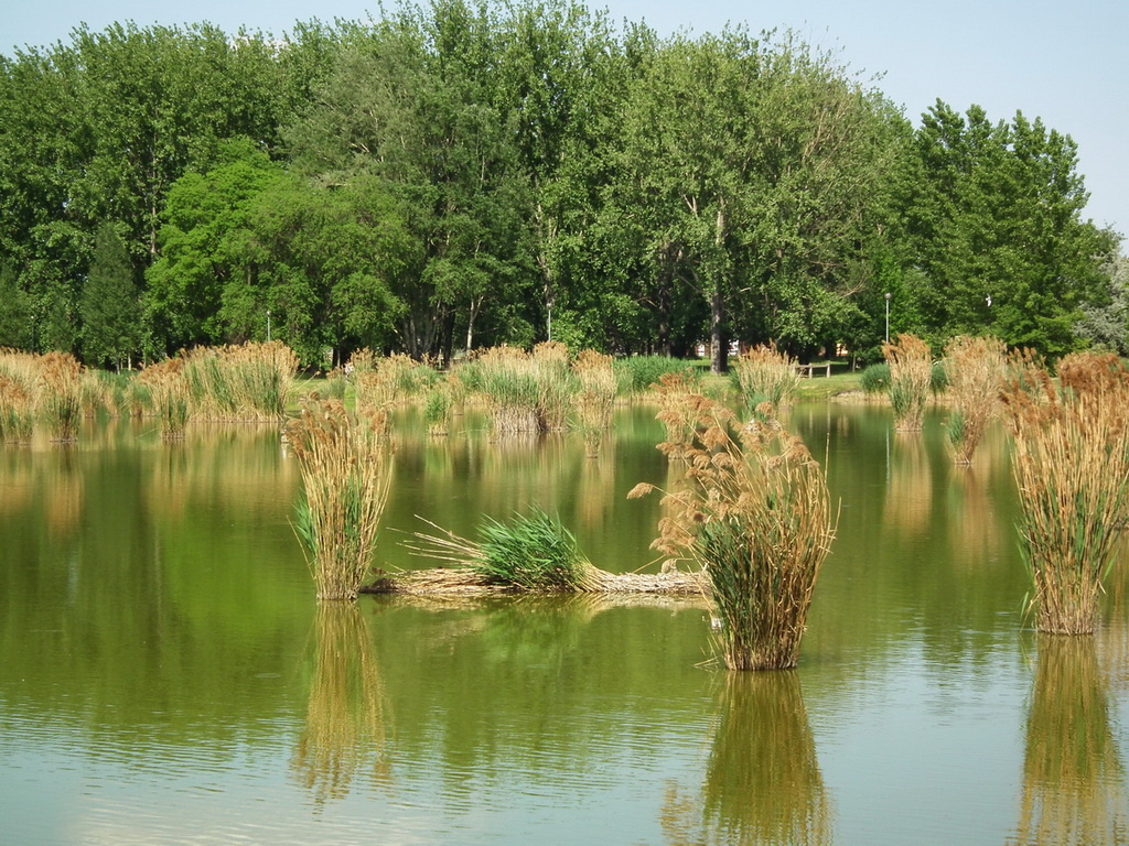 Bújtos