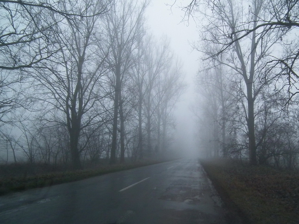 Ködös úton