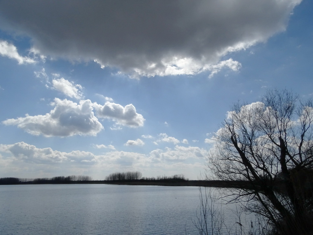 Tavaszi tó