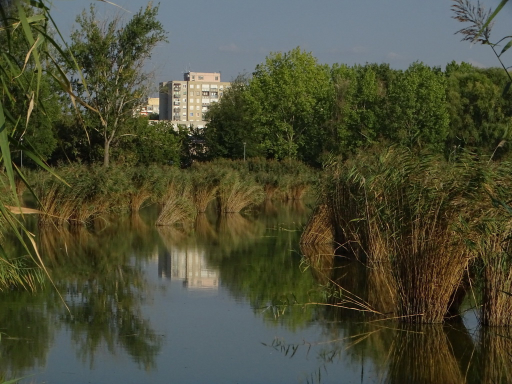 Paneltükör