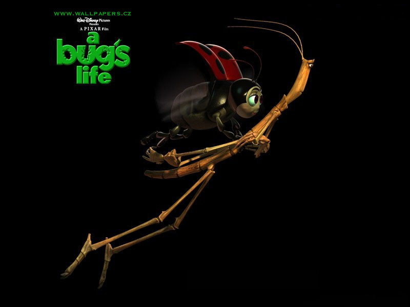 BUG02 131255