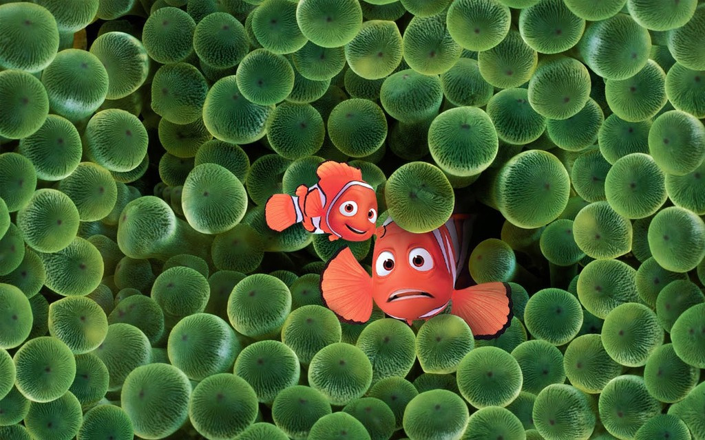 Finding Nemo 8 115735
