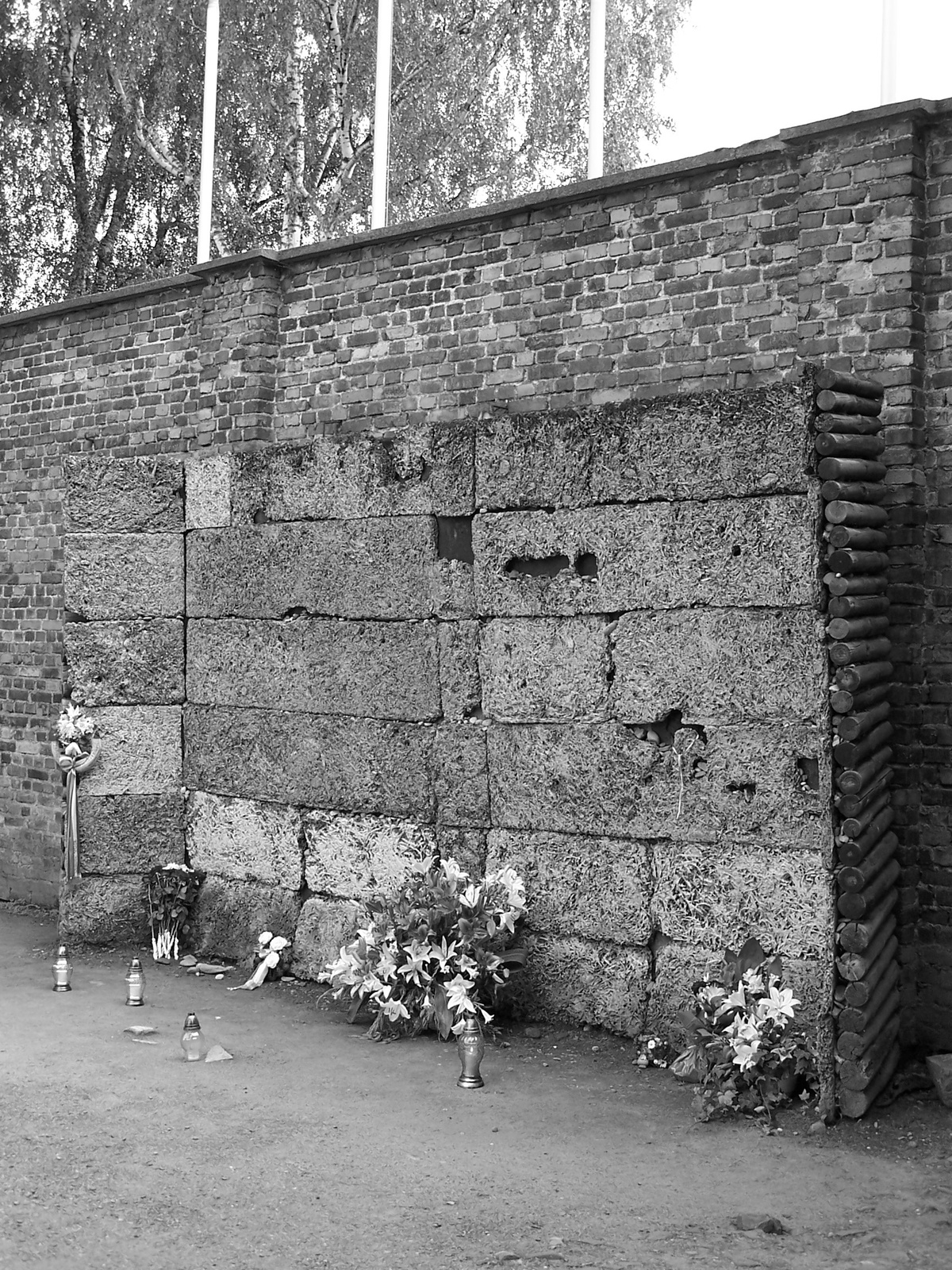 Auschwitz-Birkenau (11)