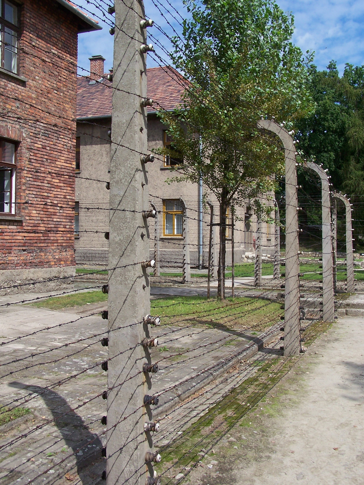 Auschwitz-Birkenau (20)