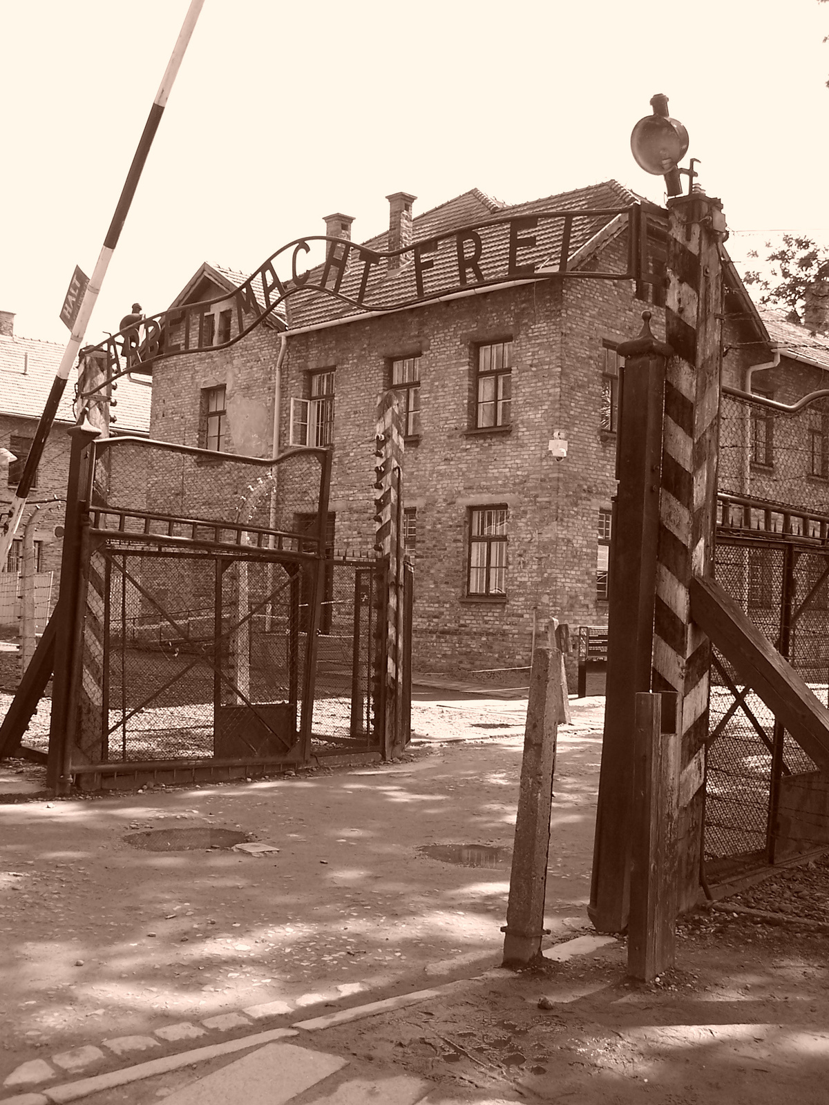 Auschwitz-Birkenau (71)