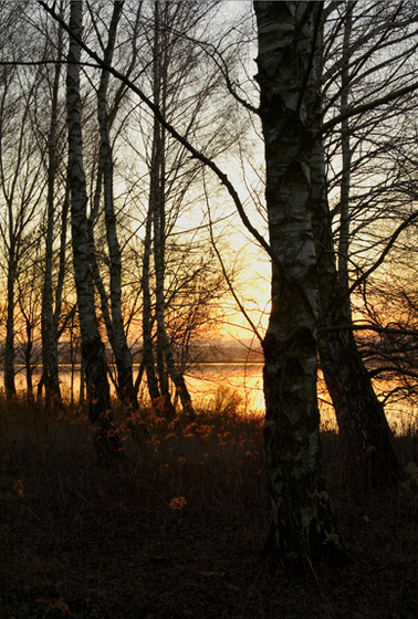 Kisbalaton