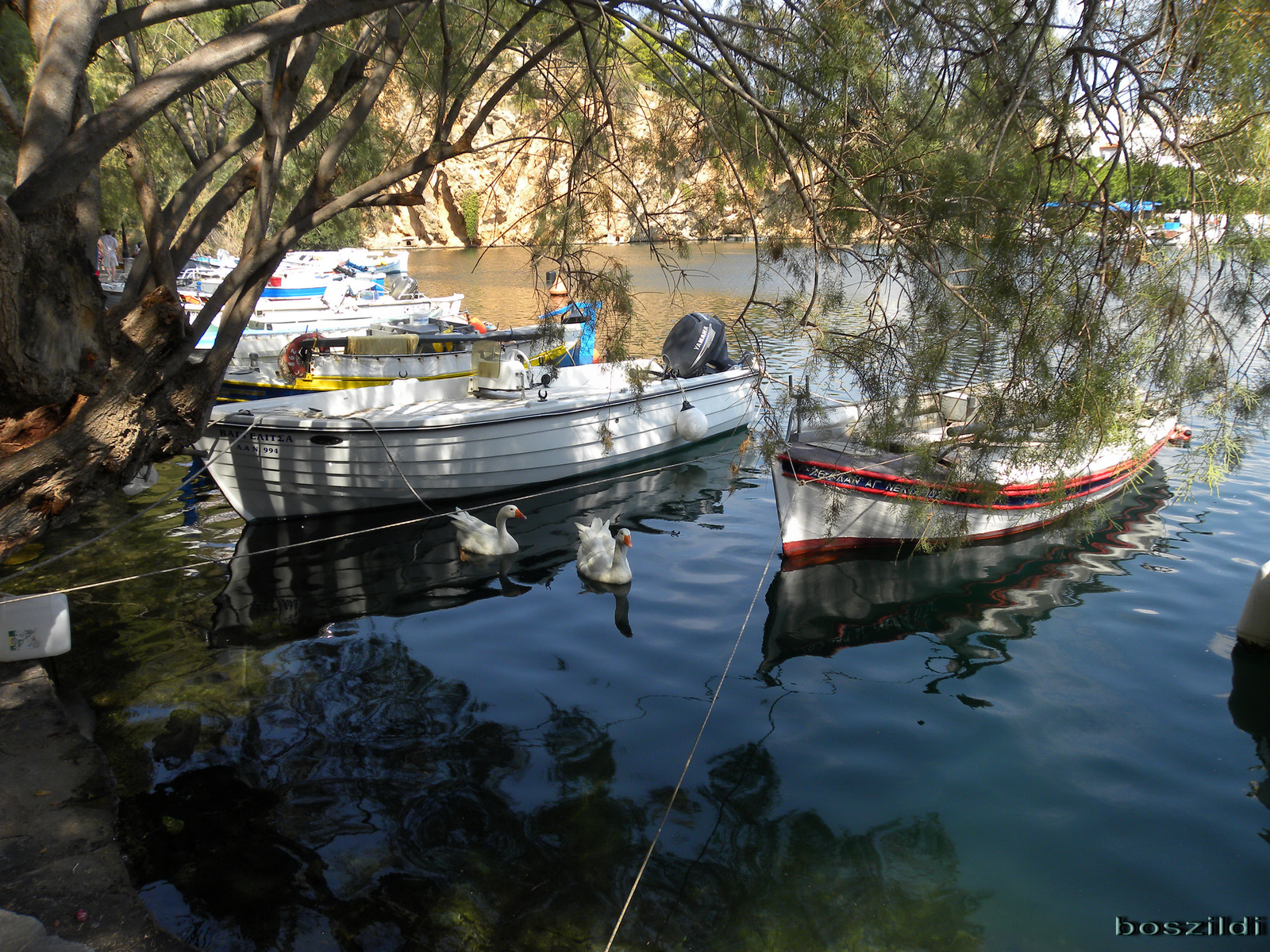 DSCN7199 Agios Nikolaos, a tónál