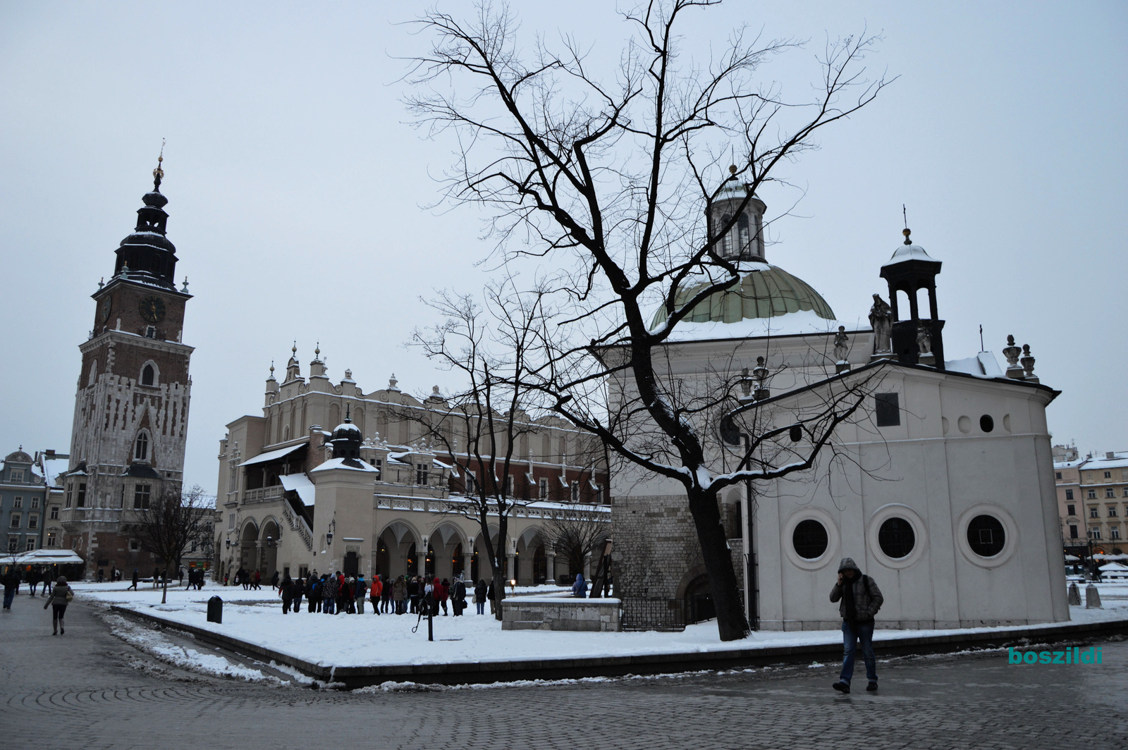 DSC 0476 Krakkó