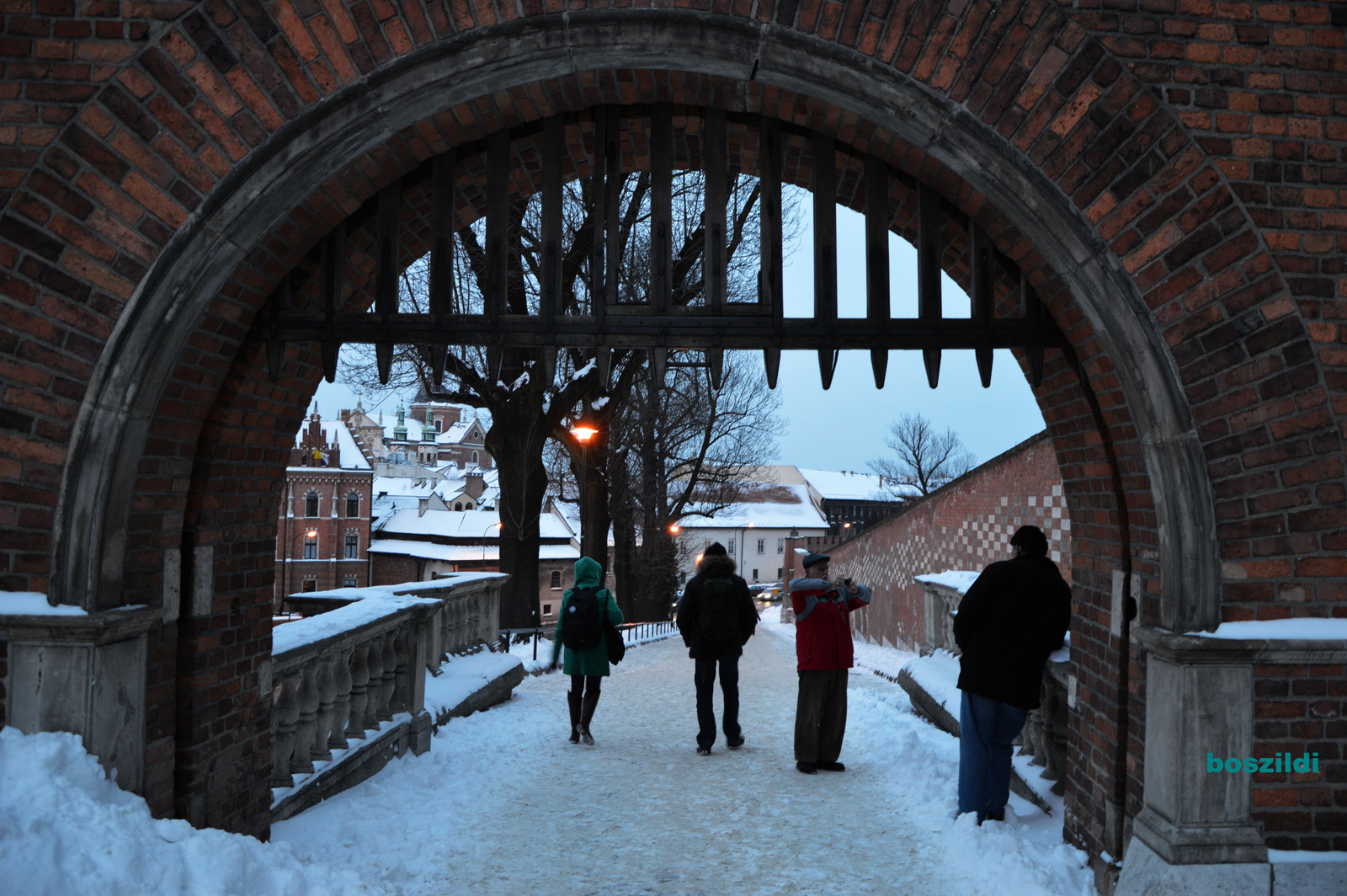 DSC 0518 Wawel