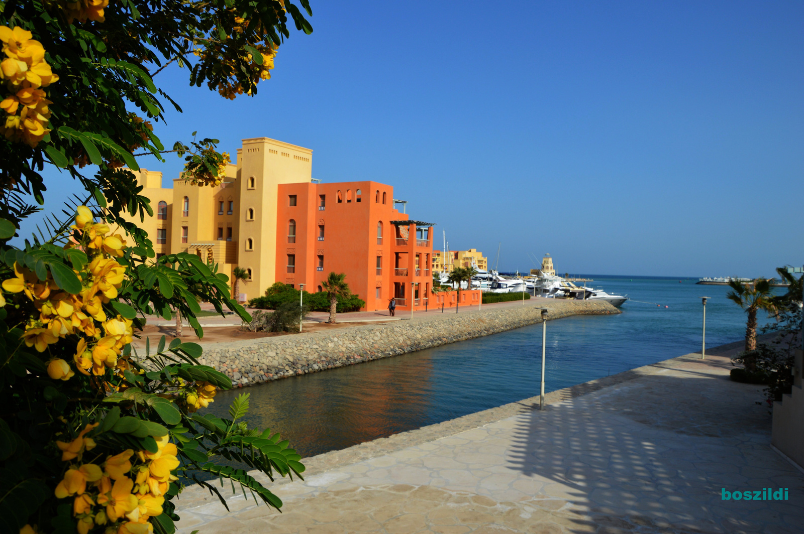 DSC 2029 El Gouna