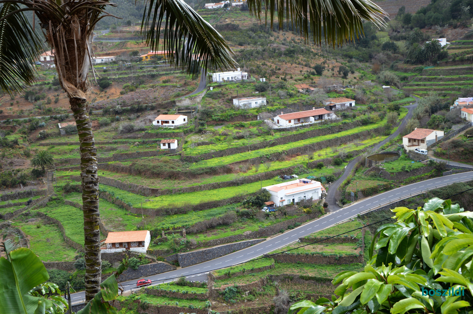 DSC 6259 La Gomera