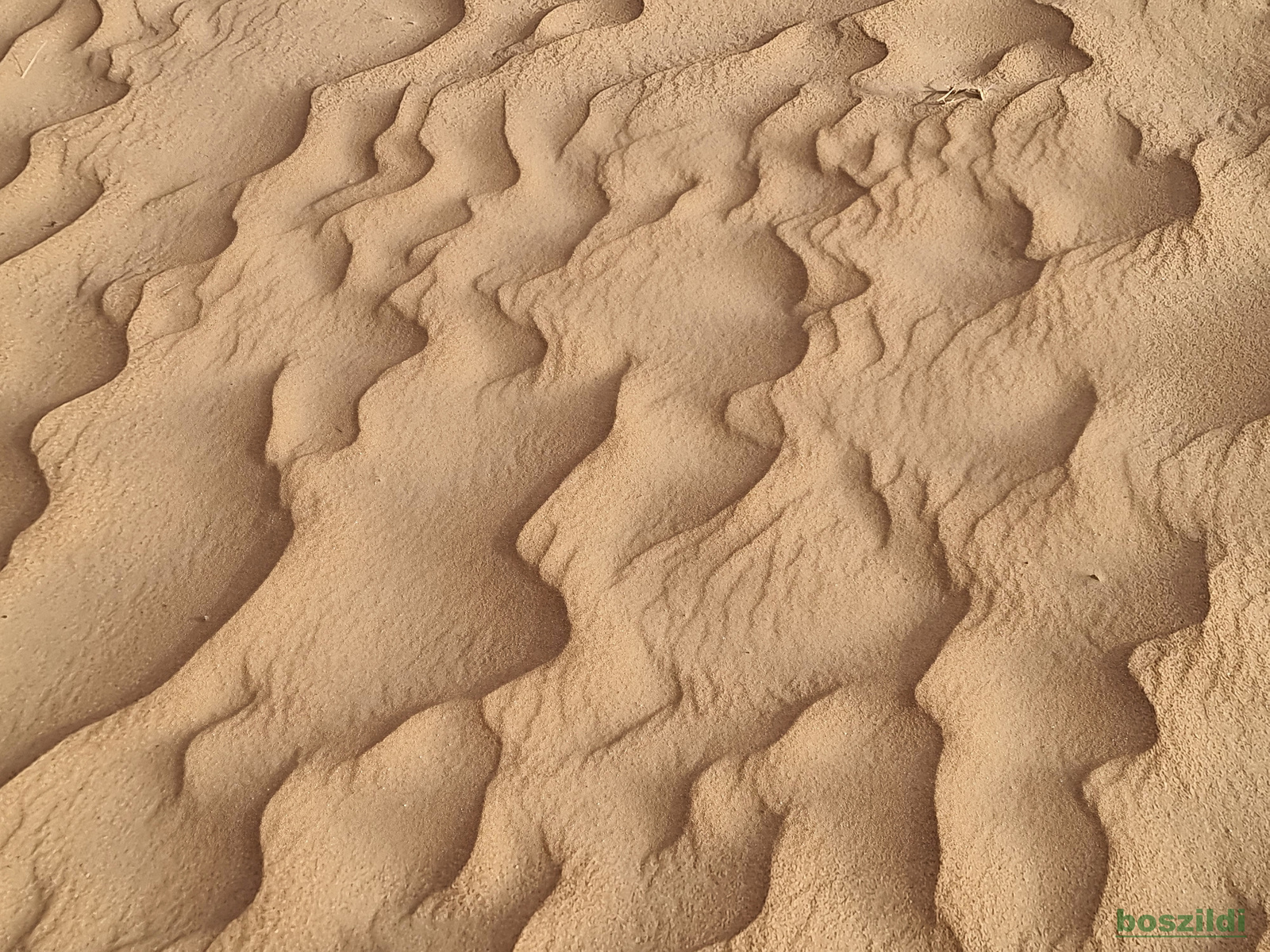 homok formációk