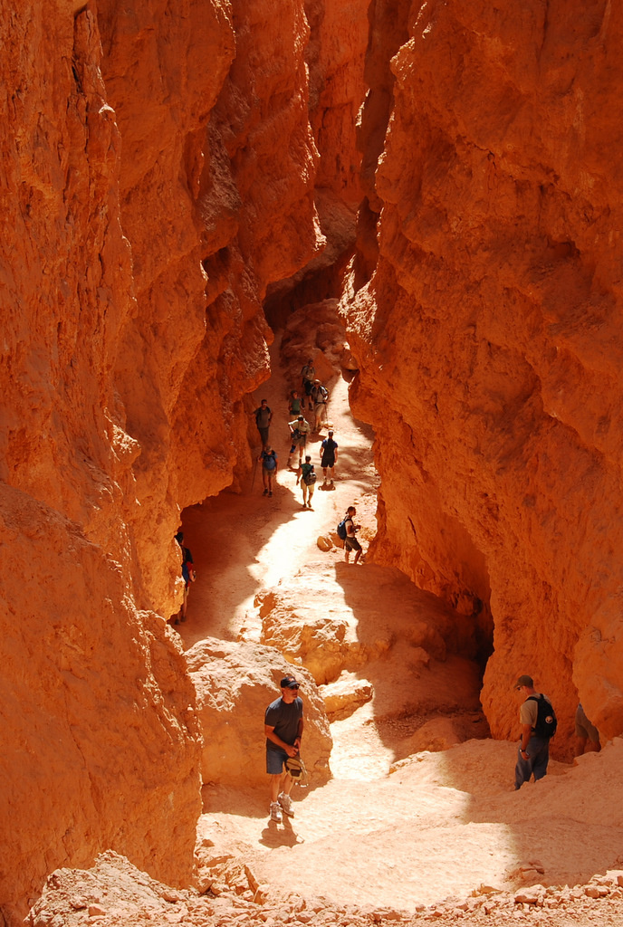 us08 0605 Bryce Canyon NP, UT