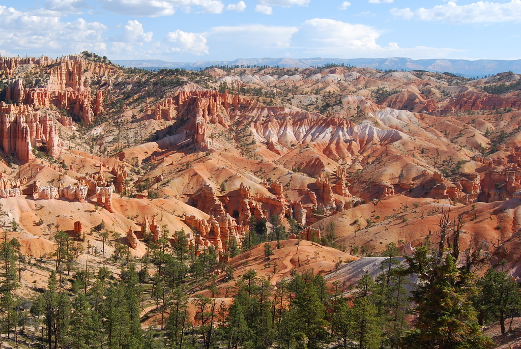 us08 0659 Bryce Canyon NP, UT