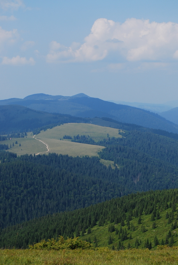 20120630 027 Mező-havas, Bihar, RO