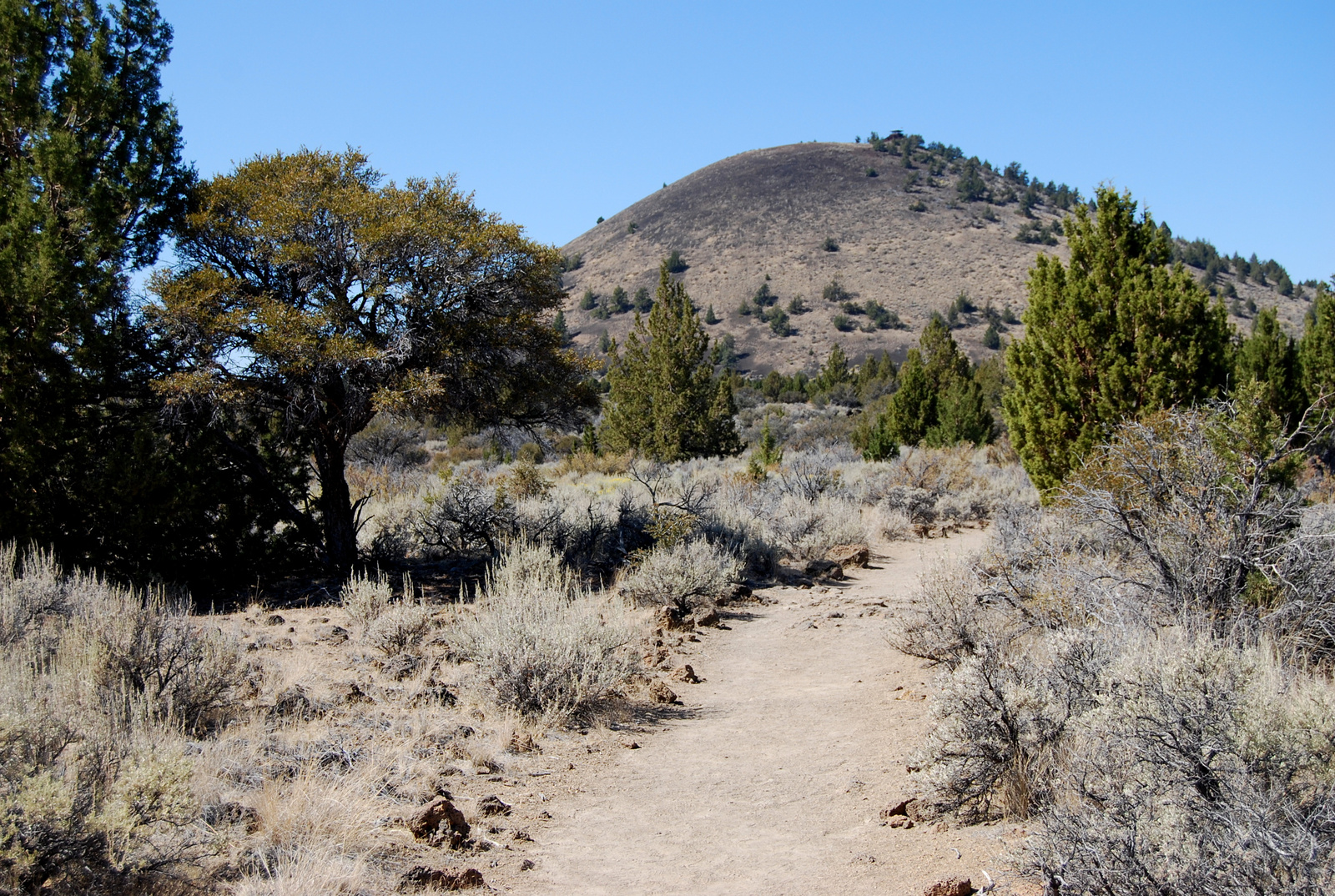 US12 0917 039 Schonchin Butte, Lava Beds NM, CA