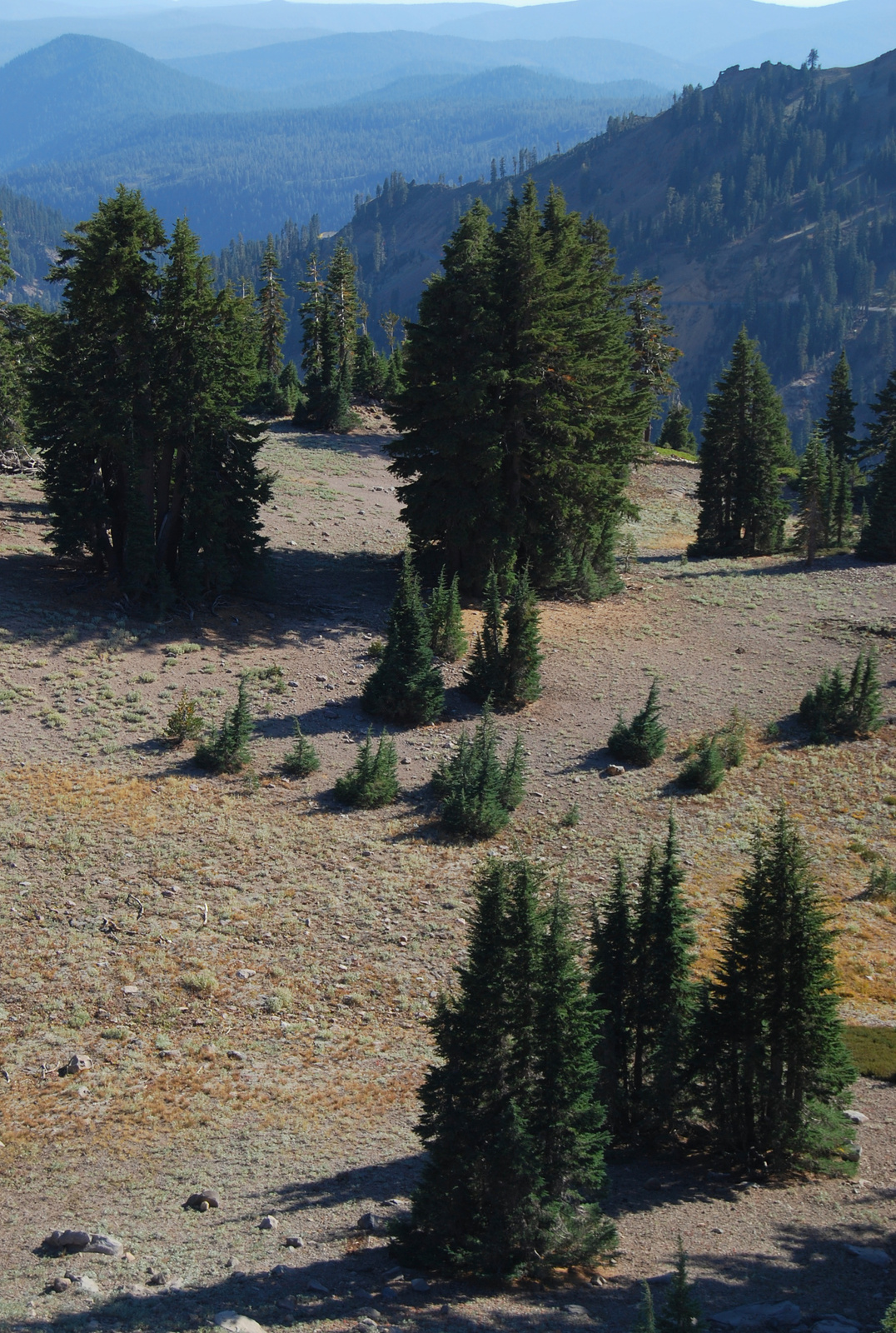 US12 0918 071 Lassen NP, CA