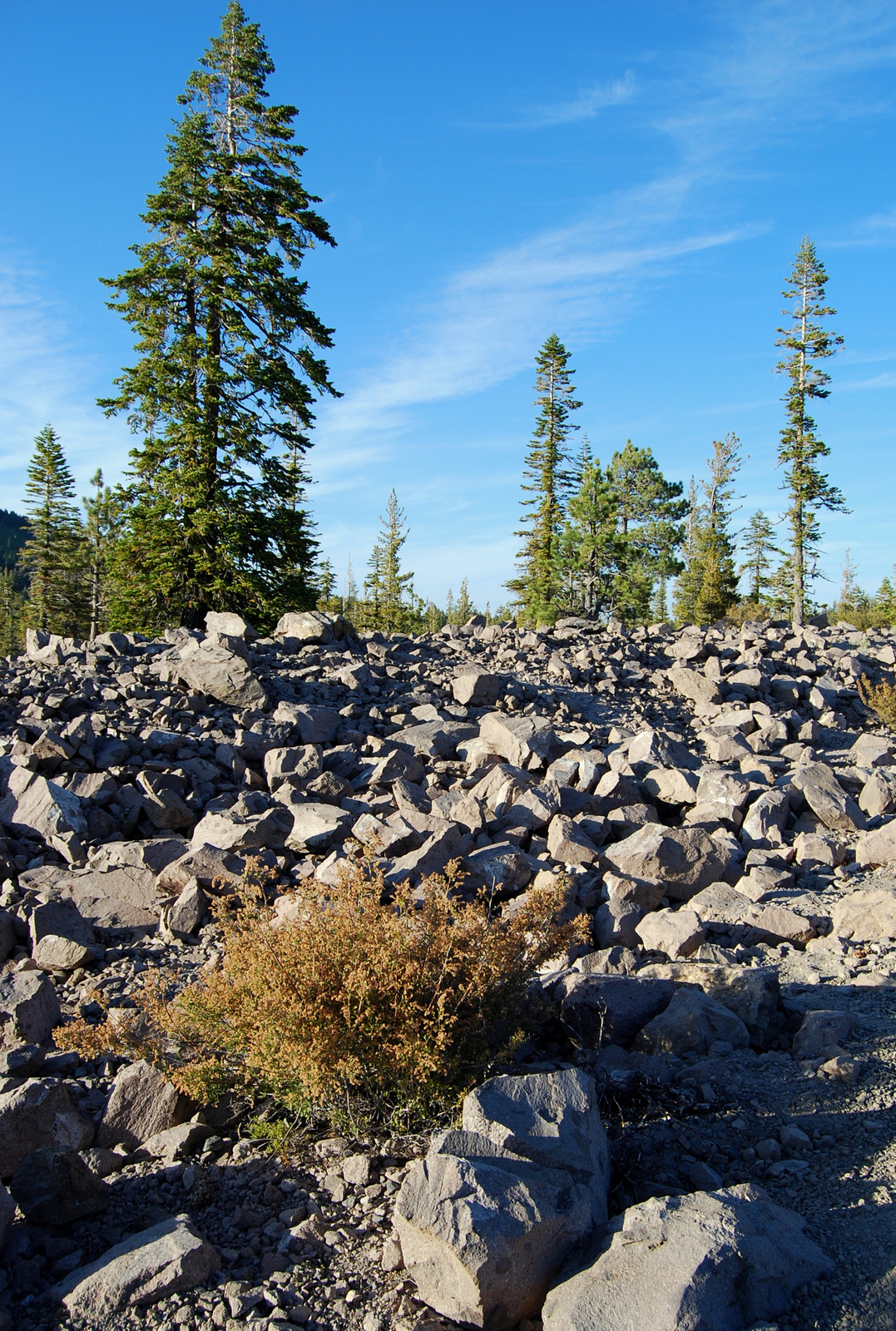 US12 0918 079 Chaos Jumbles, Lassen NP, CA